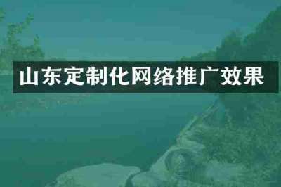 山东定制化网络推广效果