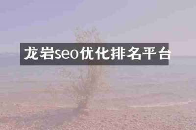 龙岩seo优化排名平台
