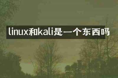 linux和kali是一个东西吗