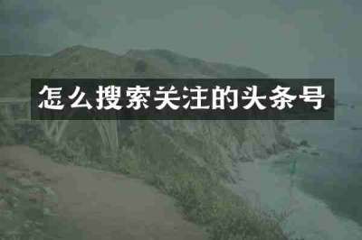 怎么搜索关注的头条号