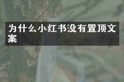 为什么小红书没有置顶文案