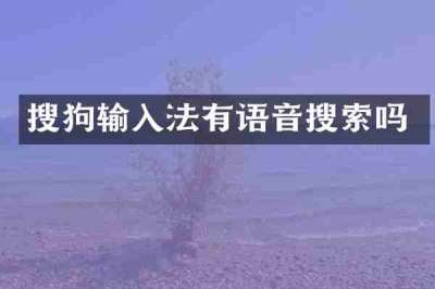 搜狗输入法有语音搜索吗