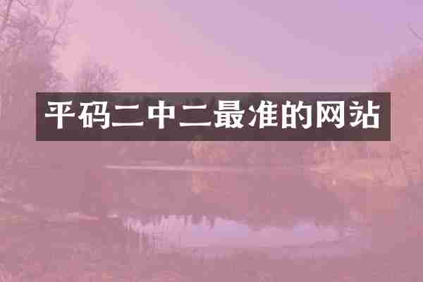 平码二中二最准的网站