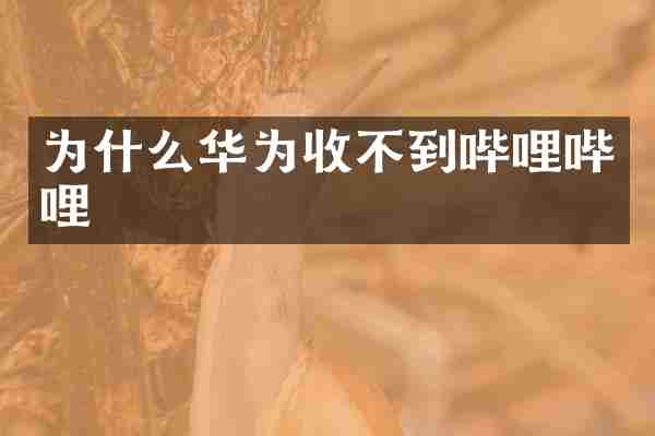 为什么华为收不到哔哩哔哩