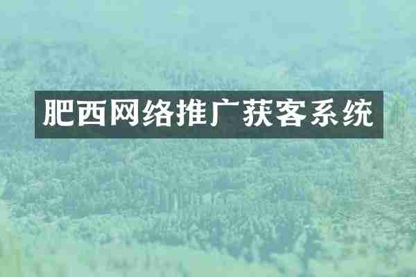 肥西网络推广获客系统