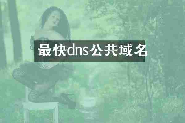最快dns公共域名
