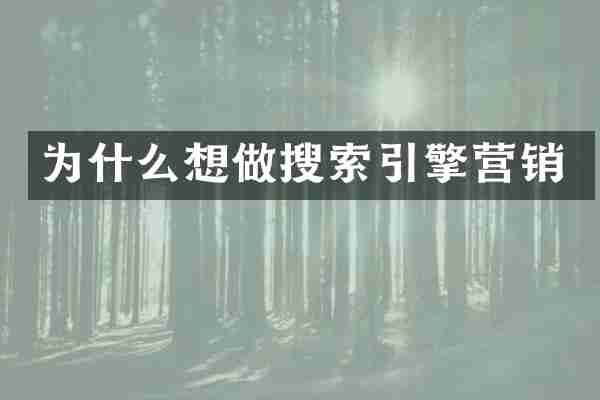 为什么想做搜索引擎营销