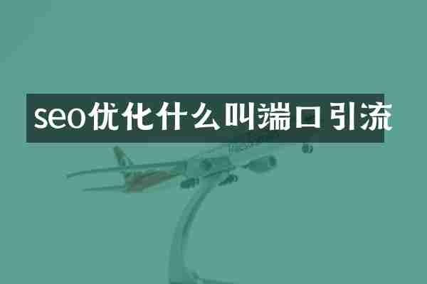 seo优化什么叫端口引流