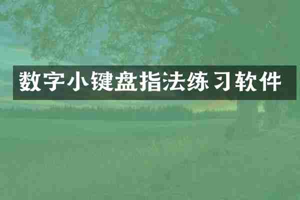 数字小键盘指法练习软件