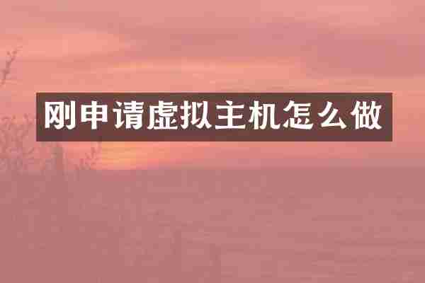 刚申请虚拟主机怎么做