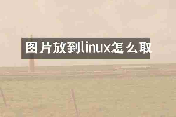 图片放到linux怎么取
