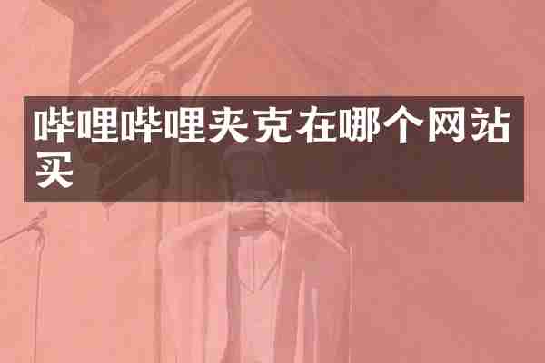 哔哩哔哩夹克在哪个网站买