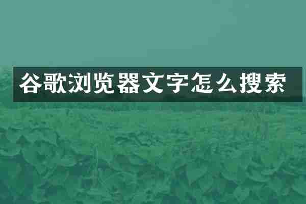 谷歌浏览器文字怎么搜索