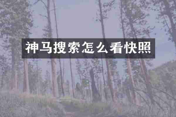 神马搜索怎么看快照