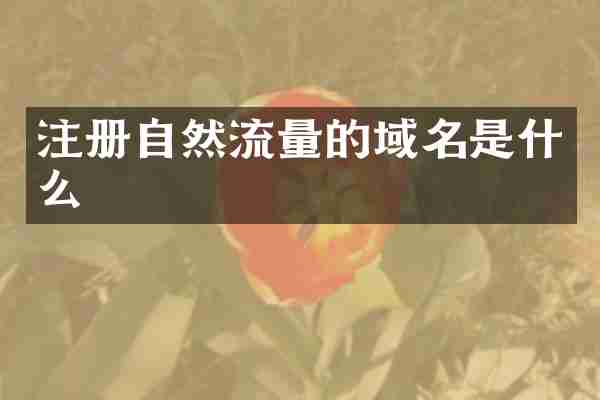 注册自然流量的域名是什么