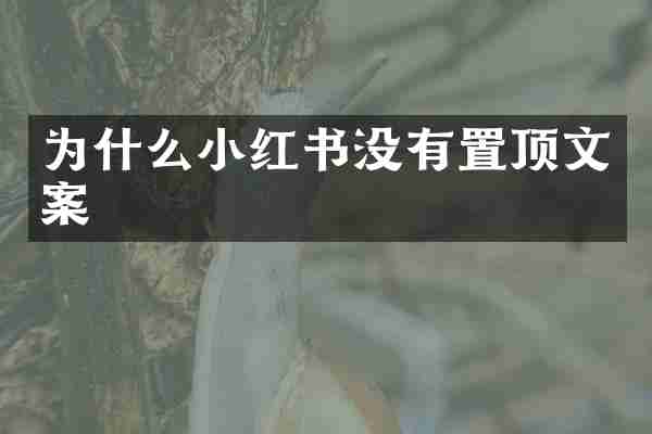 为什么小红书没有置顶文案