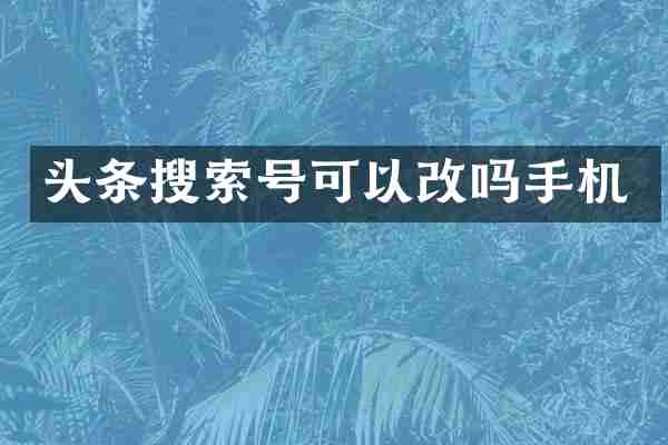 头条搜索号可以改吗手机