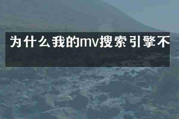 为什么我的mv搜索引擎不了