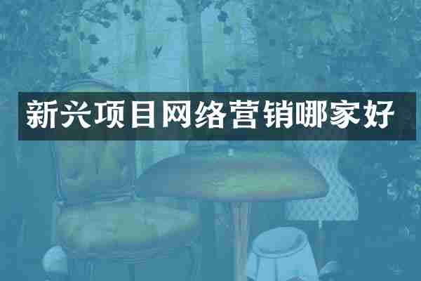 新兴项目网络营销哪家好
