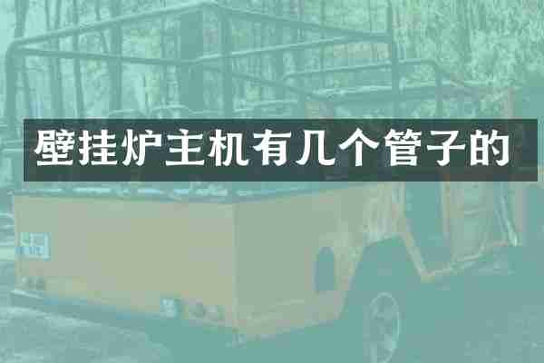 壁挂炉主机有几个管子的