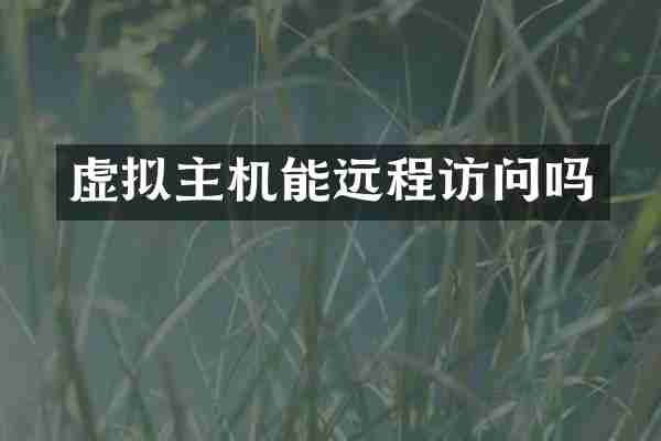 虚拟主机能远程访问吗
