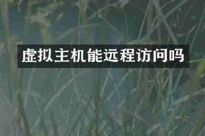 虚拟主机能远程访问吗