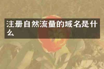 注册自然流量的域名是什么