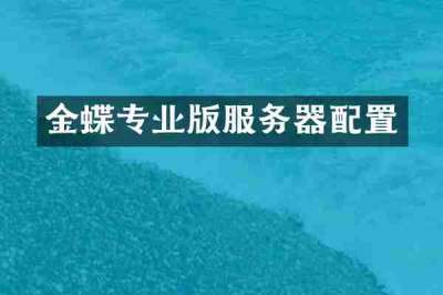 金蝶专业版服务器配置