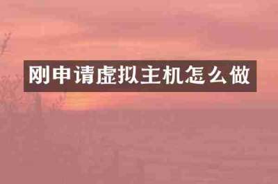 刚申请虚拟主机怎么做