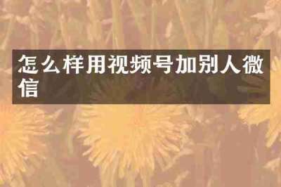 怎么样用视频号加别人微信