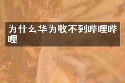 为什么华为收不到哔哩哔哩