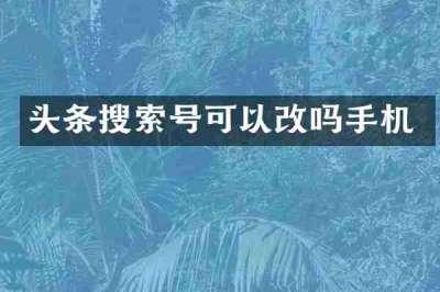 头条搜索号可以改吗手机