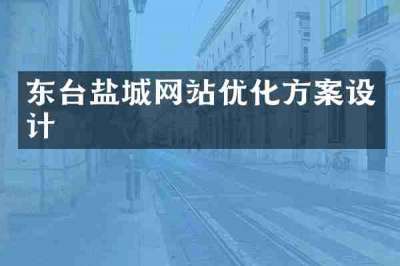 东台盐城网站优化方案设计