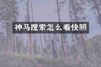 神马搜索怎么看快照