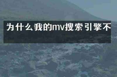 为什么我的mv搜索引擎不了
