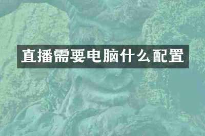 直播需要电脑什么配置