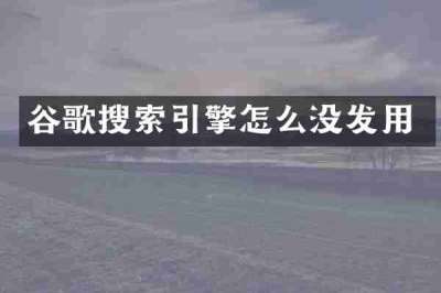 谷歌搜索引擎怎么没发用