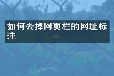 如何去掉网页栏的网址标注