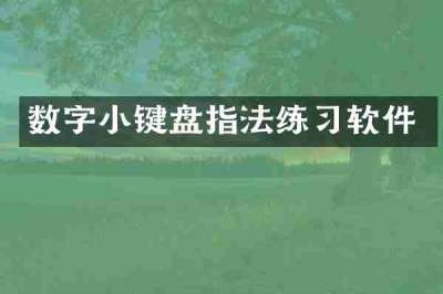 数字小键盘指法练习软件