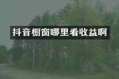 抖音橱窗哪里看收益啊