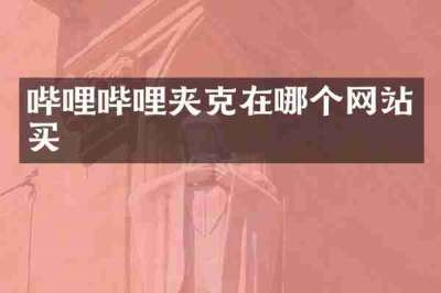 哔哩哔哩夹克在哪个网站买