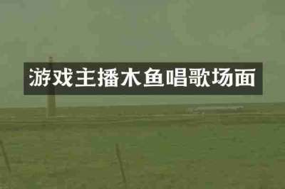 游戏主播木鱼唱歌场面