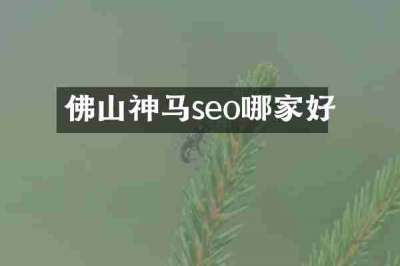 佛山神马seo哪家好