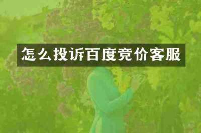 怎么投诉百度竞价客服