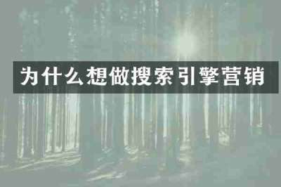 为什么想做搜索引擎营销