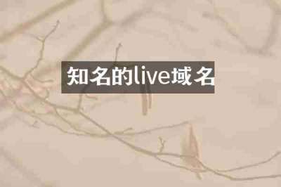知名的live域名