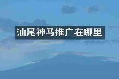 汕尾神马推广在哪里