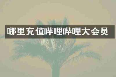 哪里充值哔哩哔哩大会员