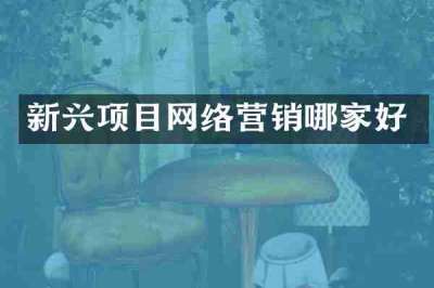 新兴项目网络营销哪家好