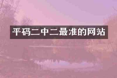 平码二中二最准的网站